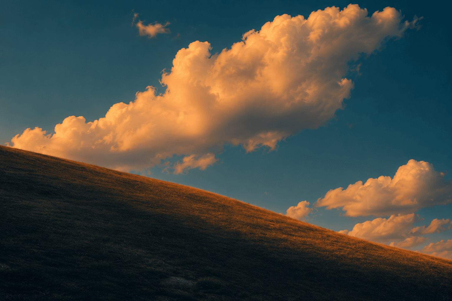 A lone bird flying over vast moss-covered ridges